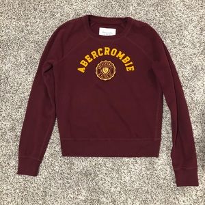 Abercrombie and Fitch Hoodie